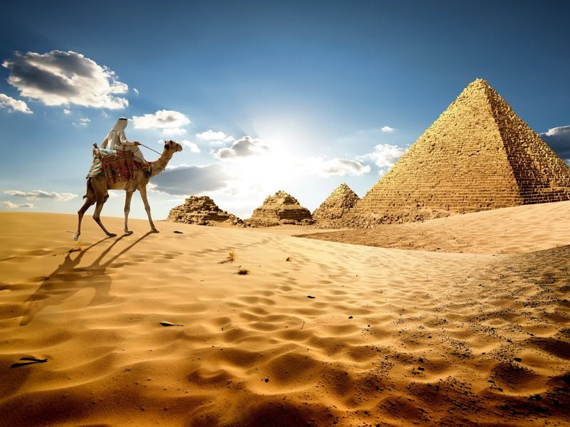 エジプト | Egypt