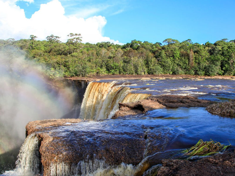 ガイアナ | Guyana