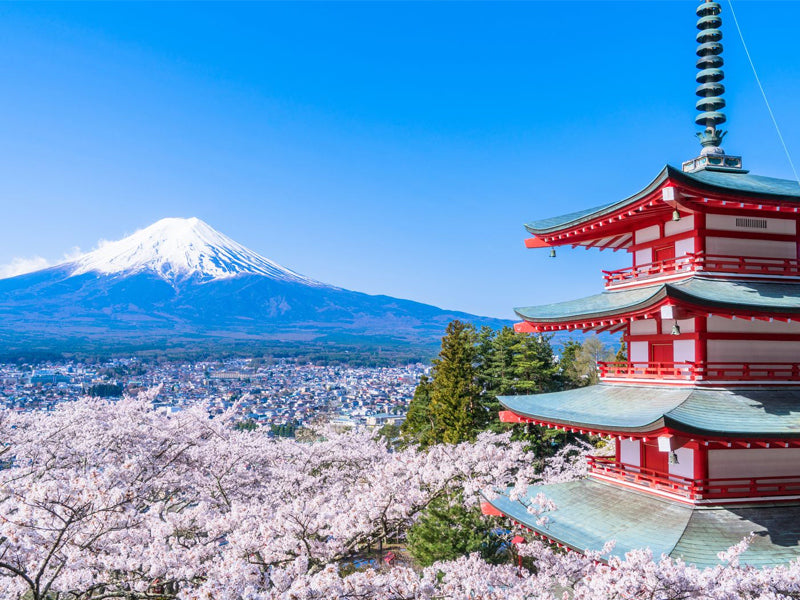 日本 | Japan