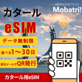 【カタール eSIM】 無制限プラン 1日〜30日 プリペイド esim Vodafone回線 データ通信専用 5G/4G
